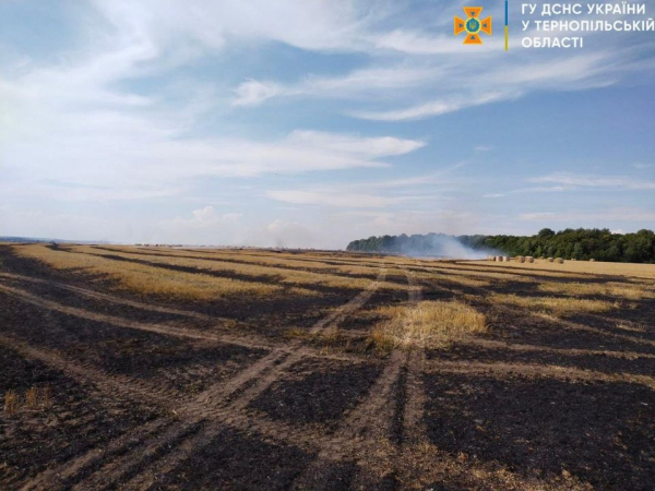 
На полі у Чортківському районі загорілася спеціалізована техніка (фото)