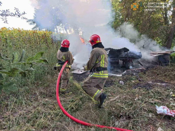 У селі на Підгаєччині згоріли вулики з бджолами