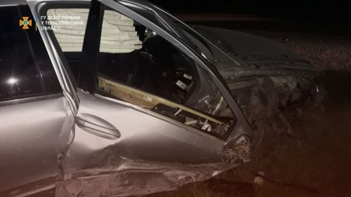 
Автомобіль злетів у кювет на Тернопільщині: рятували водія і пасажира (ФОТО)