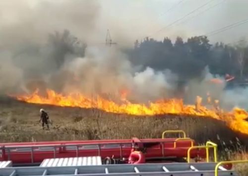 
Поблизу Тернополя гасили масштабну пожежу: вогонь охопив 4 гектари