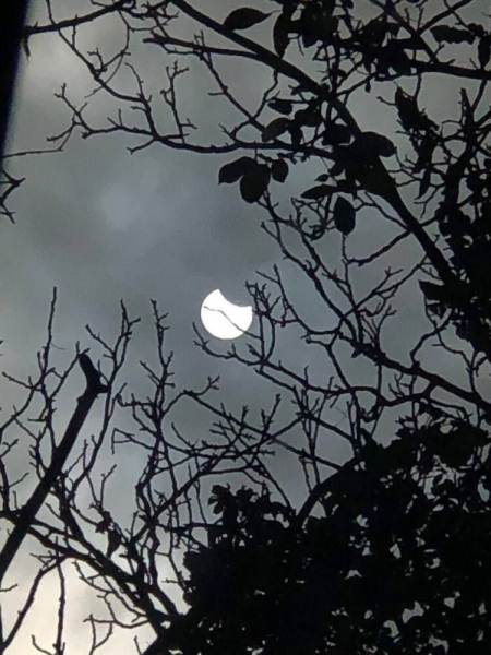 Сонячне затемнення розпочалось: опубліковані вражаючі фото, відео