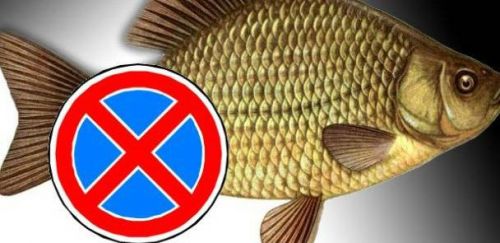 
На Тернопільщині оприлюднили перелік водойм, де з 1 листопада заборонено ловити рибу