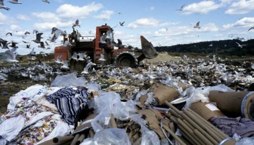
Підприємство на Тернопільщині забруднило довкілля сміттям, завдавши шкоди на мільйон гривень