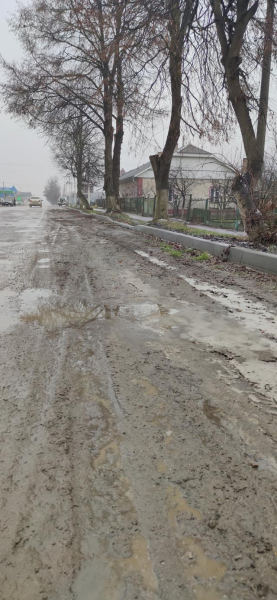 
Жителі Гусятина скаржаться на бардак і болото з листям на вулицях міста (ФОТО)