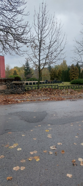 
Жителі Гусятина скаржаться на бардак і болото з листям на вулицях міста (ФОТО)