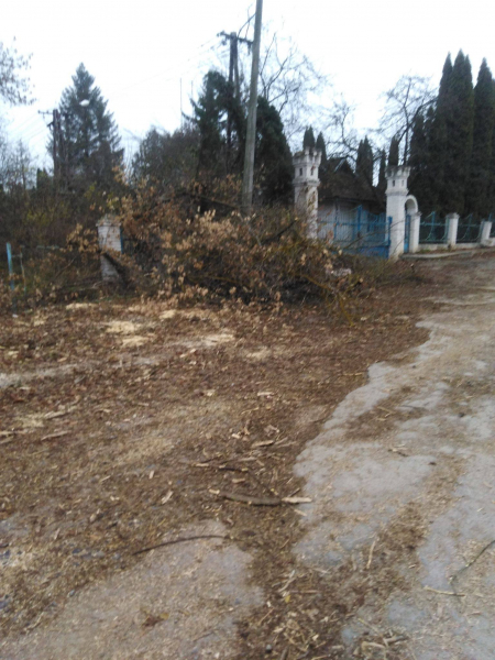 
Жителі Гусятина скаржаться на бардак і болото з листям на вулицях міста (ФОТО)