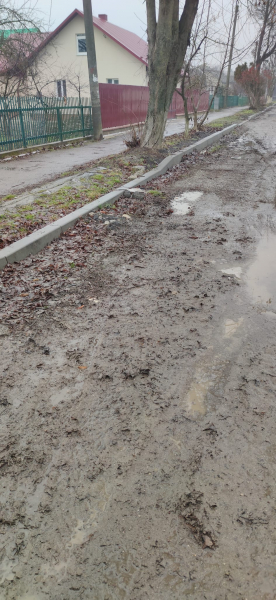 
Жителі Гусятина скаржаться на бардак і болото з листям на вулицях міста (ФОТО)