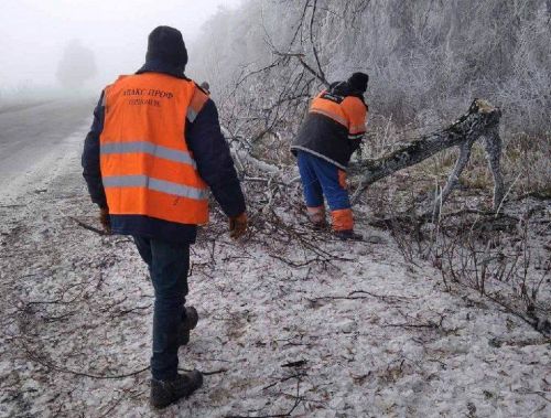 
На Тернопільщині негода повалила дерева на дороги (фото)