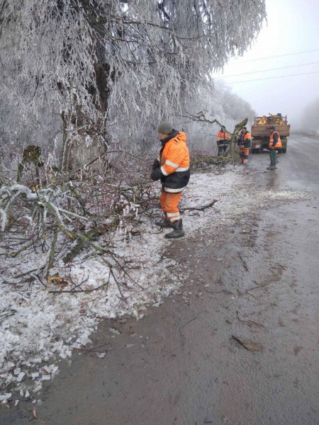 
На Тернопільщині негода повалила дерева на дороги (фото)