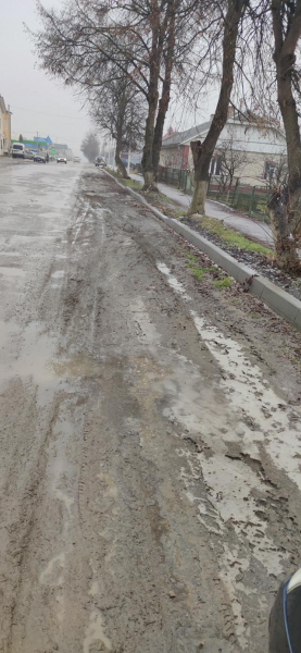 
Жителі Гусятина скаржаться на бардак і болото з листям на вулицях міста (ФОТО)