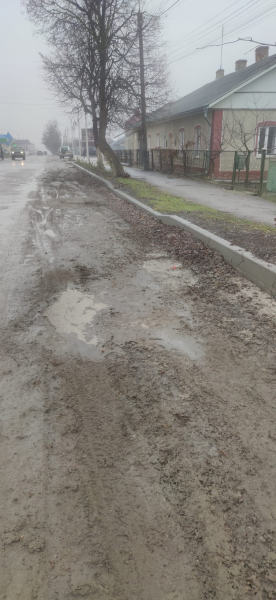 
Жителі Гусятина скаржаться на бардак і болото з листям на вулицях міста (ФОТО)