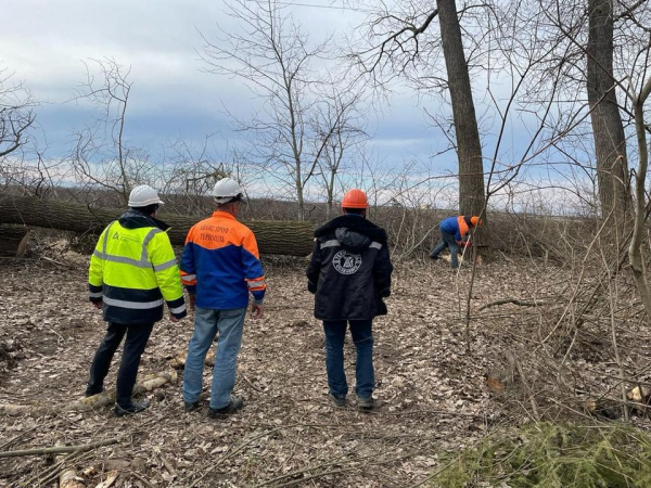 
На Тернопільщині дорожники вирізали 258 дерев, щоб гілля не падали на лінії електропередач (фото)