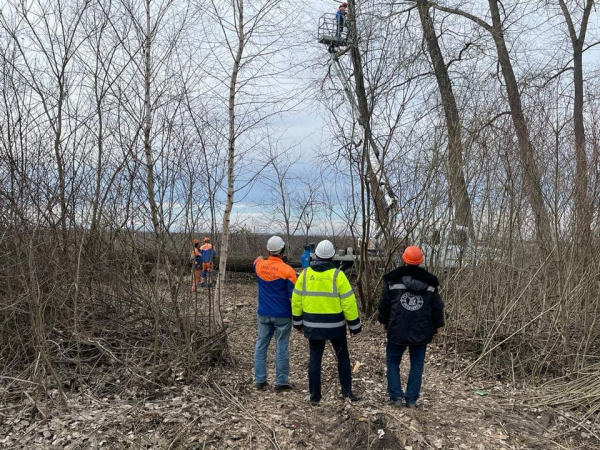 
На Тернопільщині дорожники вирізали 258 дерев, щоб гілля не падали на лінії електропередач (фото)