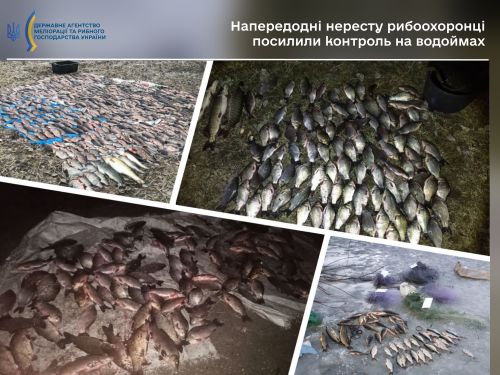 
На Тернопільщині каратимуть рибних мародерів