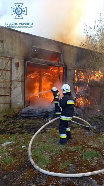 
Пожежа охопила гаражі у Чорткові: вогонь вщент знищив приміщення (ФОТО)