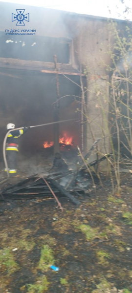 
Пожежа охопила гаражі у Чорткові: вогонь вщент знищив приміщення (ФОТО)