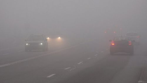 
Попереджають про сильний туман: якою буде погода у найближчі дні на Тернопільщині