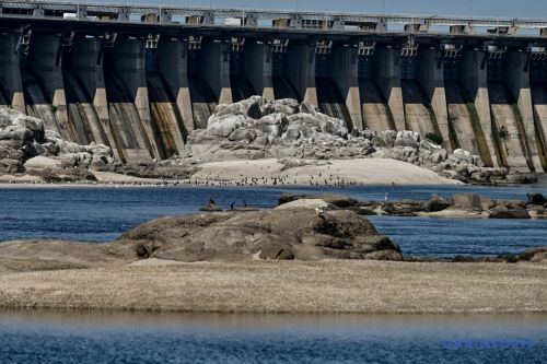 
У Запоріжжі внаслідок падіння рівня води на поверхню вийшли унікальні острови (фото)