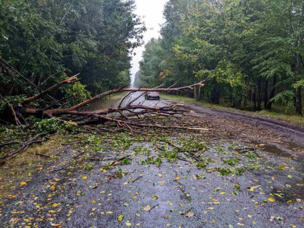 Повалені дерева й перекритий рух: наслідки негоди на Тернопільщині Повалені дерева й перекритий рух: наслідки негоди на Тернопільщині