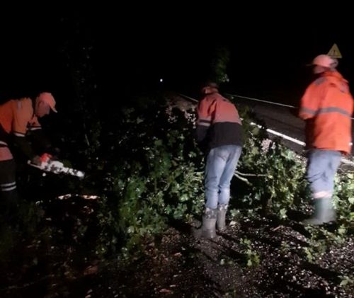 
Через негоду на дорогах Тернопільщини лежали повалені дерева та гілки