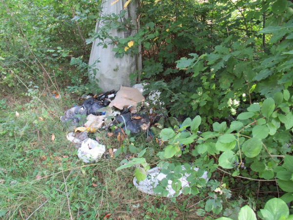 
Відпочивали, як люди, а сміття залишили, як свині: на Тернопільщині прибрали відпочинкові зони на березі Дністра (фото)