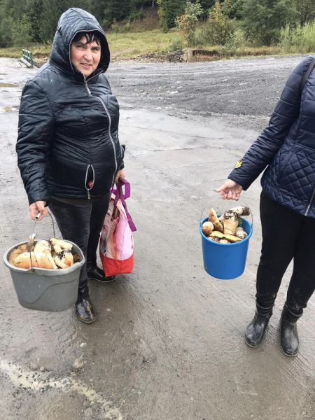 
Тернополяни відкрили у Карпатах осінній грибний сезон (фото)