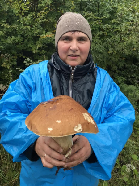 
Тернополяни відкрили у Карпатах осінній грибний сезон (фото)