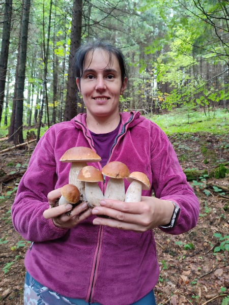 
Тернополяни відкрили у Карпатах осінній грибний сезон (фото)