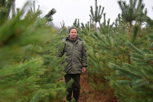 
Будь-хто може стати лісником: запустили пілотний проєкт зі створення кадрового резерву ДП «Ліси України»