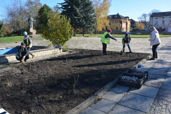 У місті на Тернопільщині розквітне прапор України з гіацинтів
