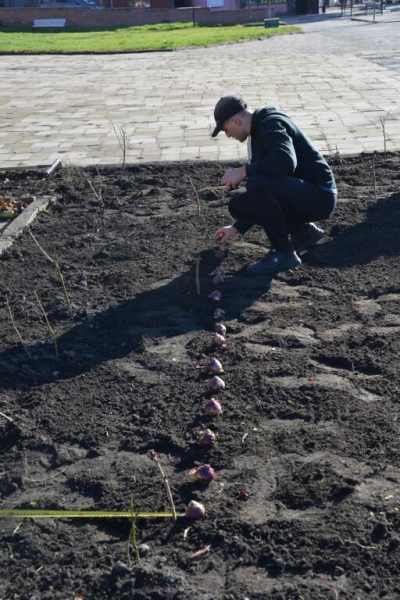 У місті на Тернопільщині розквітне прапор України з гіацинтів