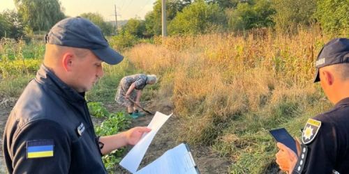 
Штрафують паліїв: на Чортківщині виписали понад півсотні штрафів
