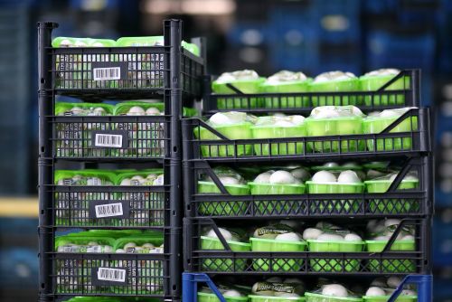 
Ферма печериць Fungi Farm з Тернопільщини бере участь у проєкті з підвищення підприємницького потенціалу (фото)