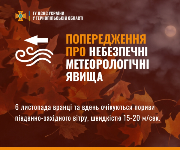
На Тернопільщині здійметься штормовий вітер: закликають остерігатись дерев і рекламних щитів