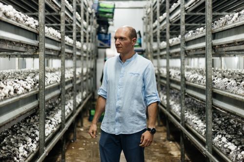 
«У грибному бізнесі дуже відчувається нестача чоловіків»: розповіли, яким був 2023 рік для ферми Fungi Farm