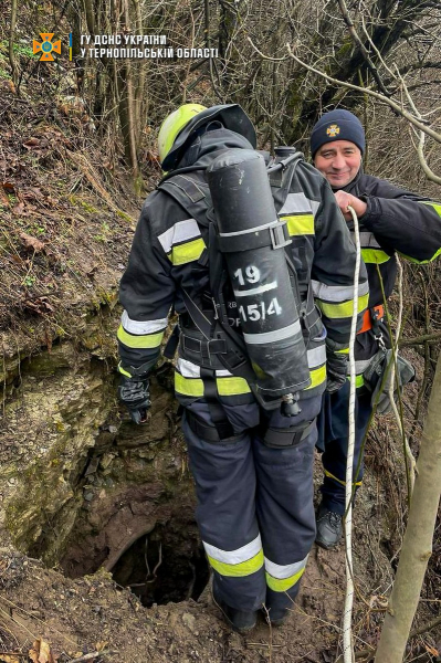 На Тернопільщині врятували собаку, який впав у щілину в Дністровському каньйоні