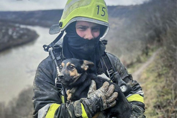 На Тернопільщині врятували собаку, який впав у щілину в Дністровському каньйоні