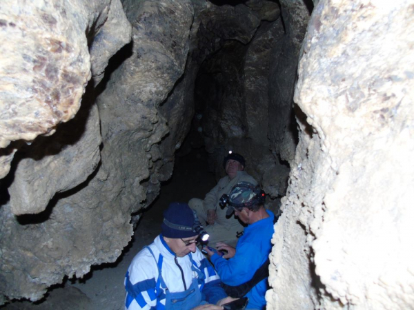 
На Тернопільщині дослідники залізли під землю, щоб порахувати рукокрилих (фото)