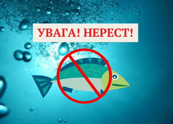 1 квітня розпочинається нерестова заборона на вилов риби