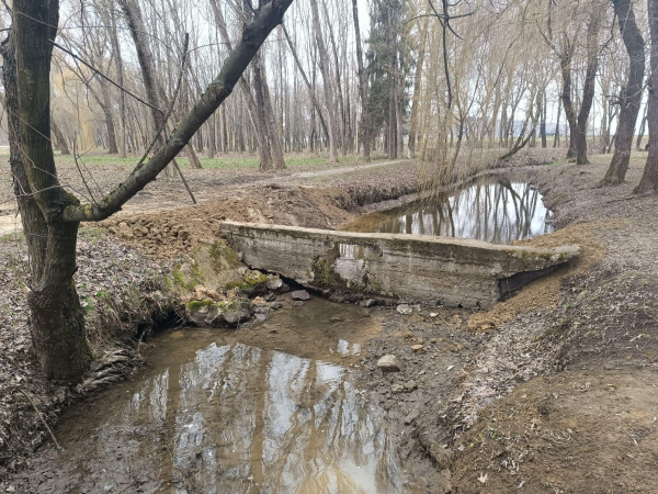 Чому у парку Сопільче знизився рівень води у водоймах: дізналися журналісти «20 хвилин»