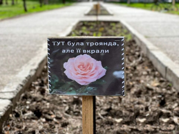 У місті на Тернопільщині крадії квітів попалися на камери спостереження