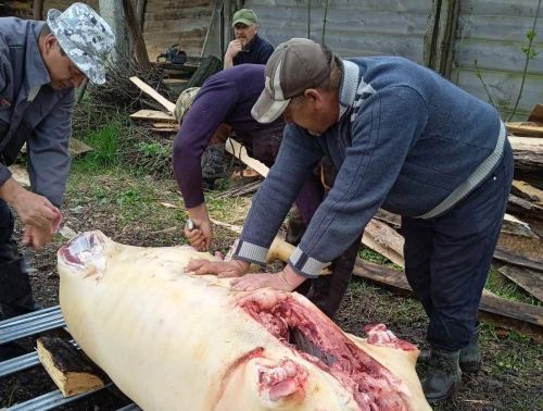 
На Кременеччині жителі села скинулися, купили свиню та готують смаколики для ЗСУ (фото)