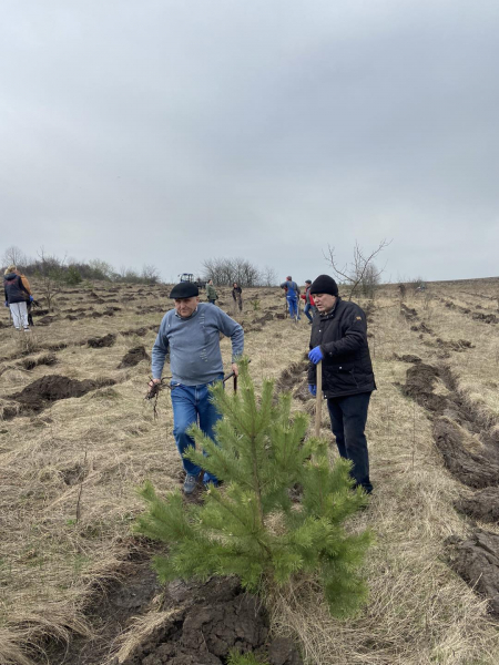 
На Тернопільщині працівники сільради спільно зі школярами висадили новий ліс (фото)