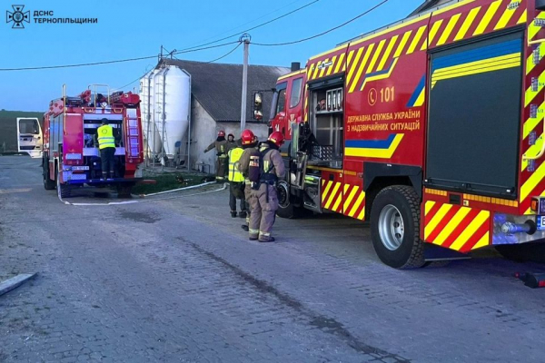 Під час гасіння пожежі у свинокомплексі в Тернопільськомцу районі врятували 650 свиней