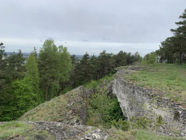 Нацпарк на Тернопільщині вражає різноманіттям рідкісних та зникаючих видів рослин. Фоторепортаж Нацпарк на Тернопільщині вражає різноманіттям рідкісних та зникаючих видів рослин. Фоторепортаж