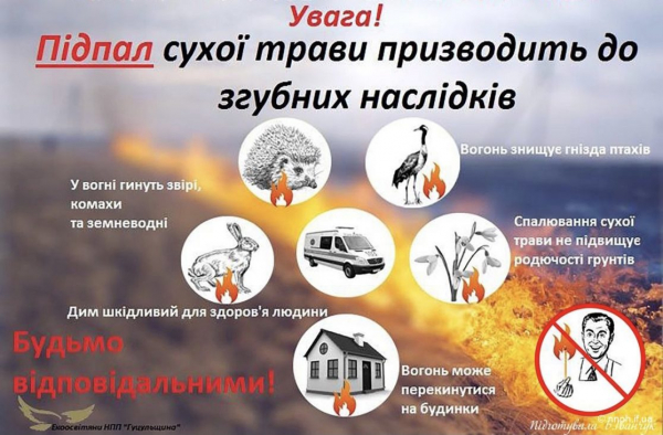 Рятувальники боролись з вогнем, який охопив житлову будівлю в Заліщиках