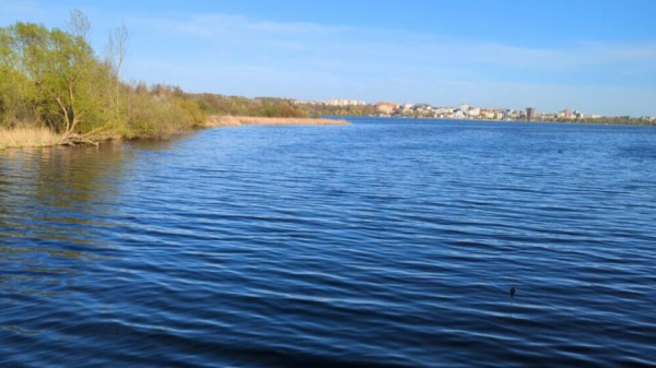 На березі Тернопільського ставу за 33 млн гривень продають землю