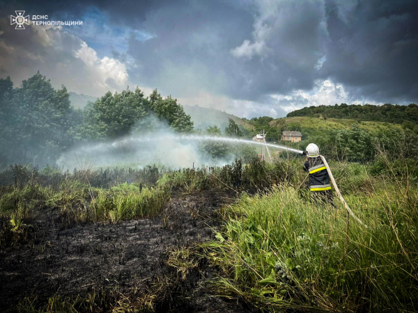Рятувальники боролись з вогнем, який охопив житлову будівлю в Заліщиках