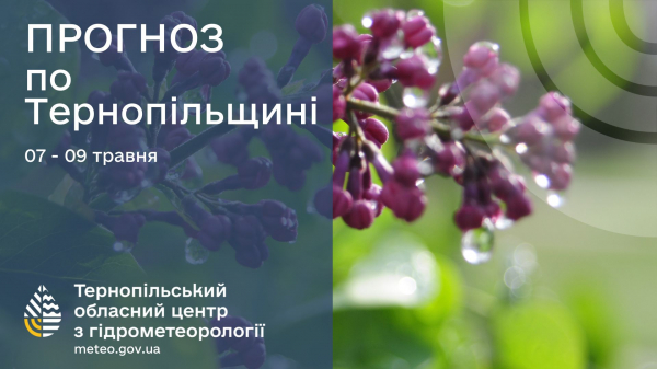 
Дощі з грозами передають на Тернопільщині: прогноз погоди на 7-9 травня