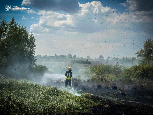 Рятувальники боролись з вогнем, який охопив житлову будівлю в Заліщиках